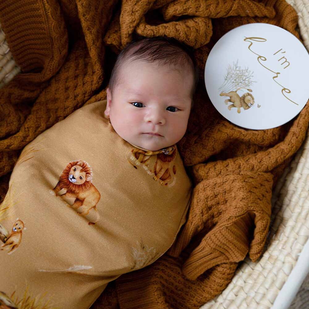 Roar | Baby Jersey Wrap & Beanie Set - Snuggle Hunny