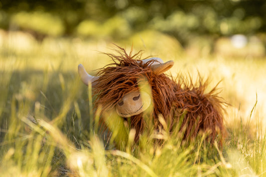 Heidi the Highland Cow - Nana Huchy