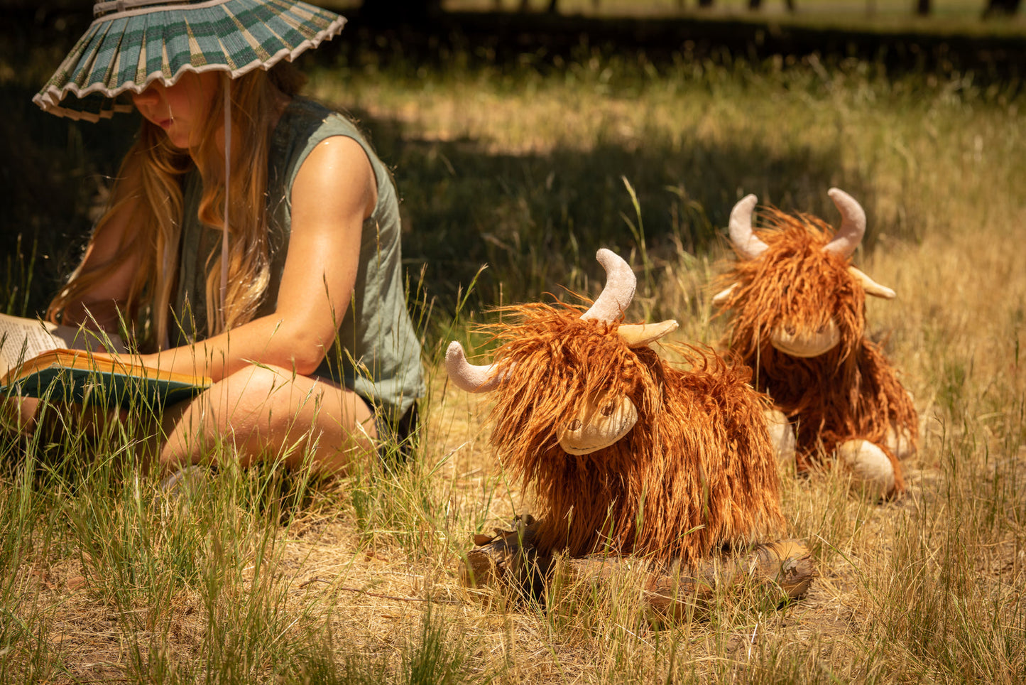 Heidi the Highland Cow - Nana Huchy