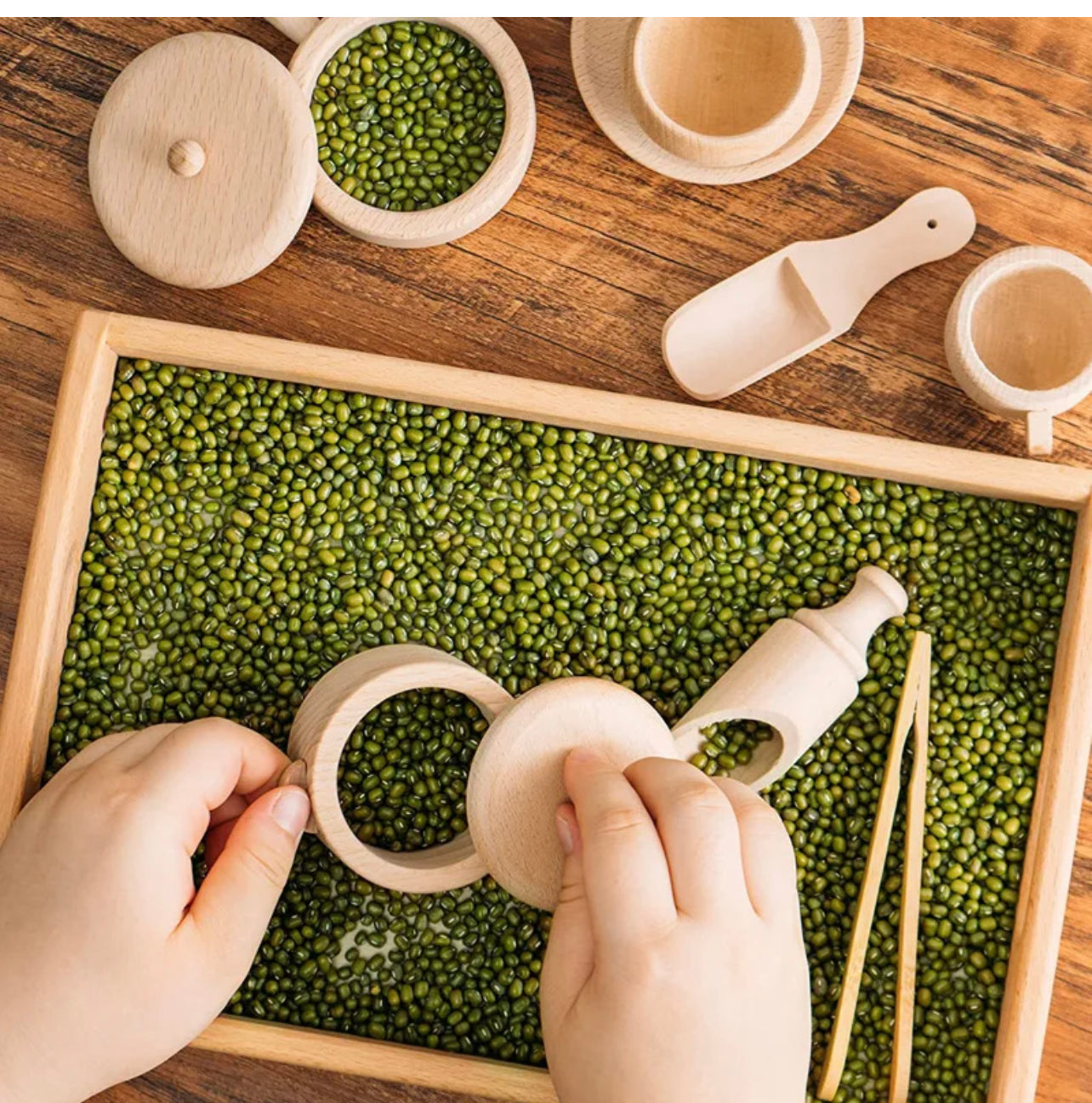 Sensory Tray and Accessories