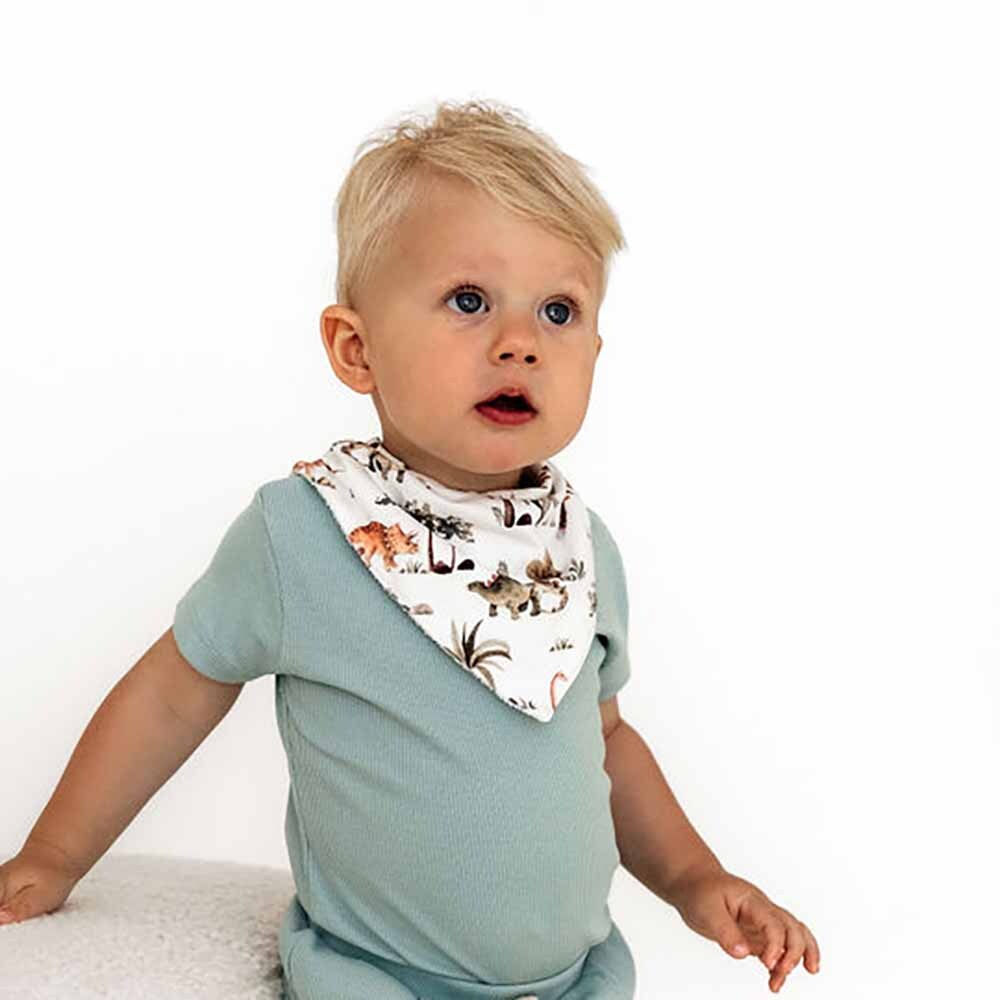 Dino Organic Dribble Bib - Snuggle Hunny