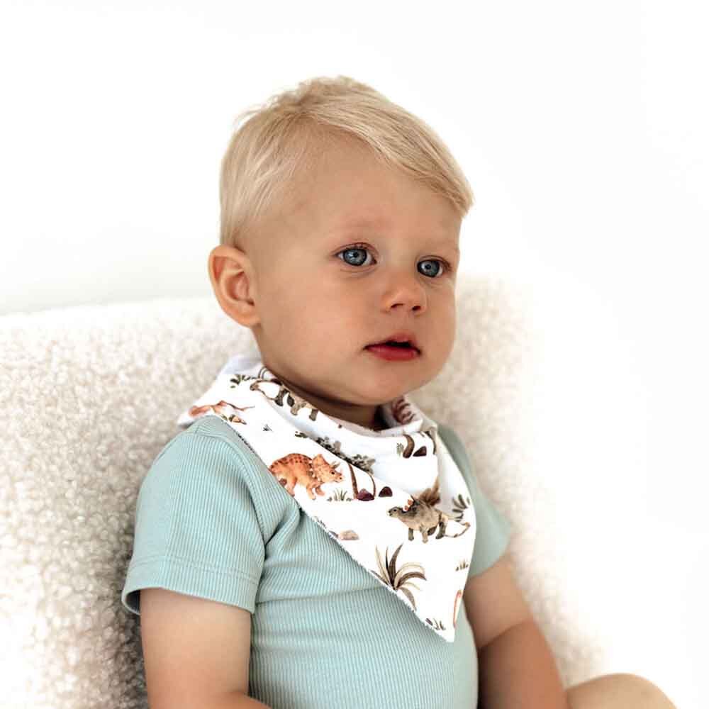 Dino Organic Dribble Bib - Snuggle Hunny