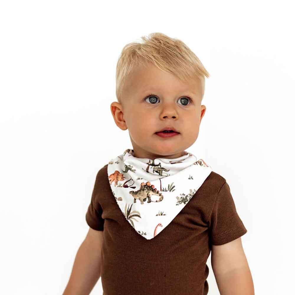 Dino Organic Dribble Bib - Snuggle Hunny