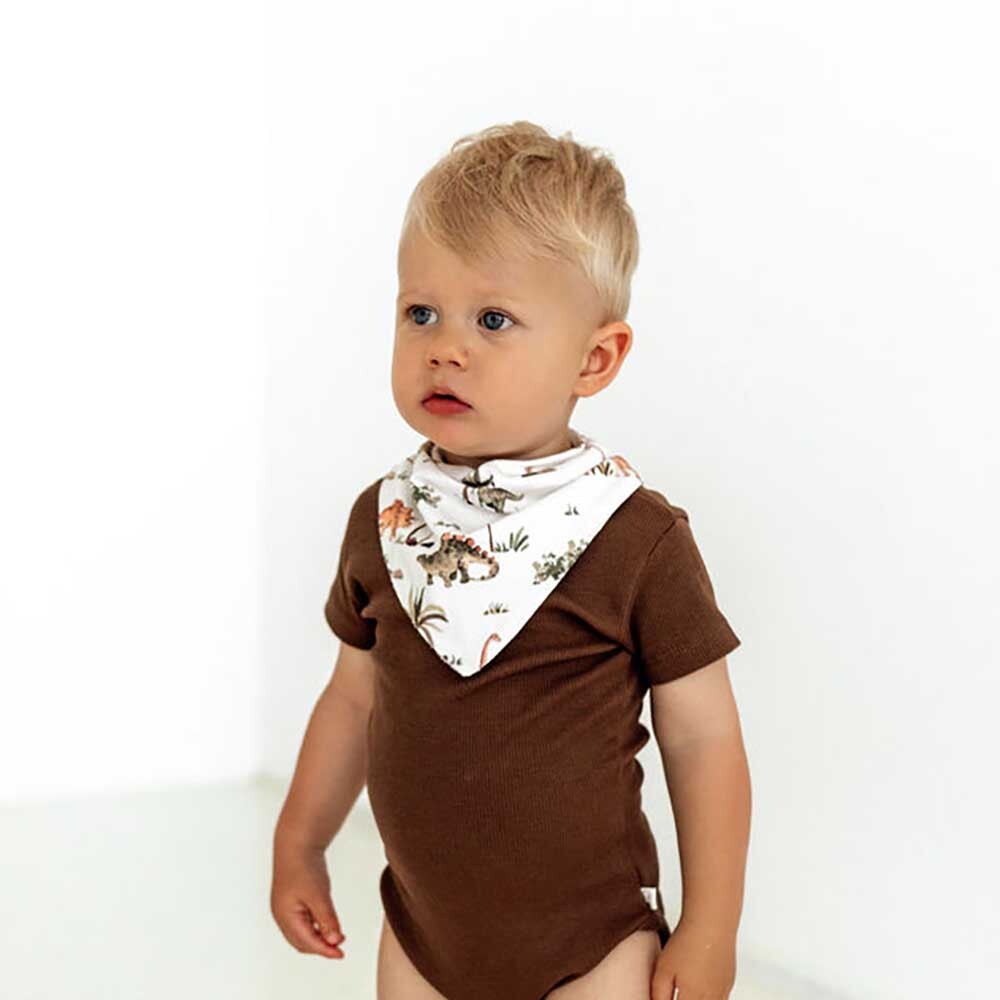 Dino Organic Dribble Bib - Snuggle Hunny