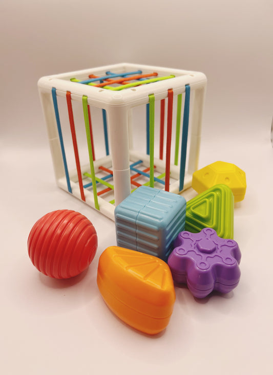 Cube Shape Sorter